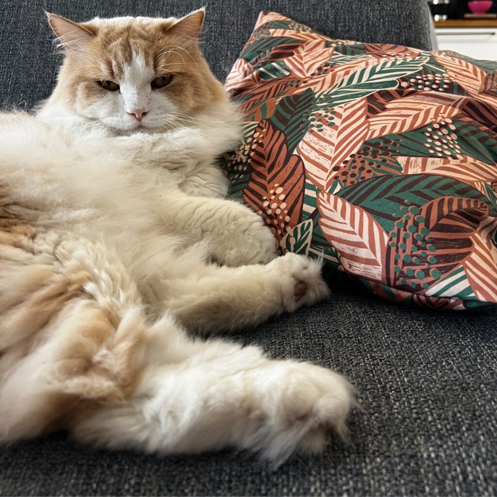 Coudre sa housse de coussin sur mesure
